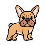 Token Icon
