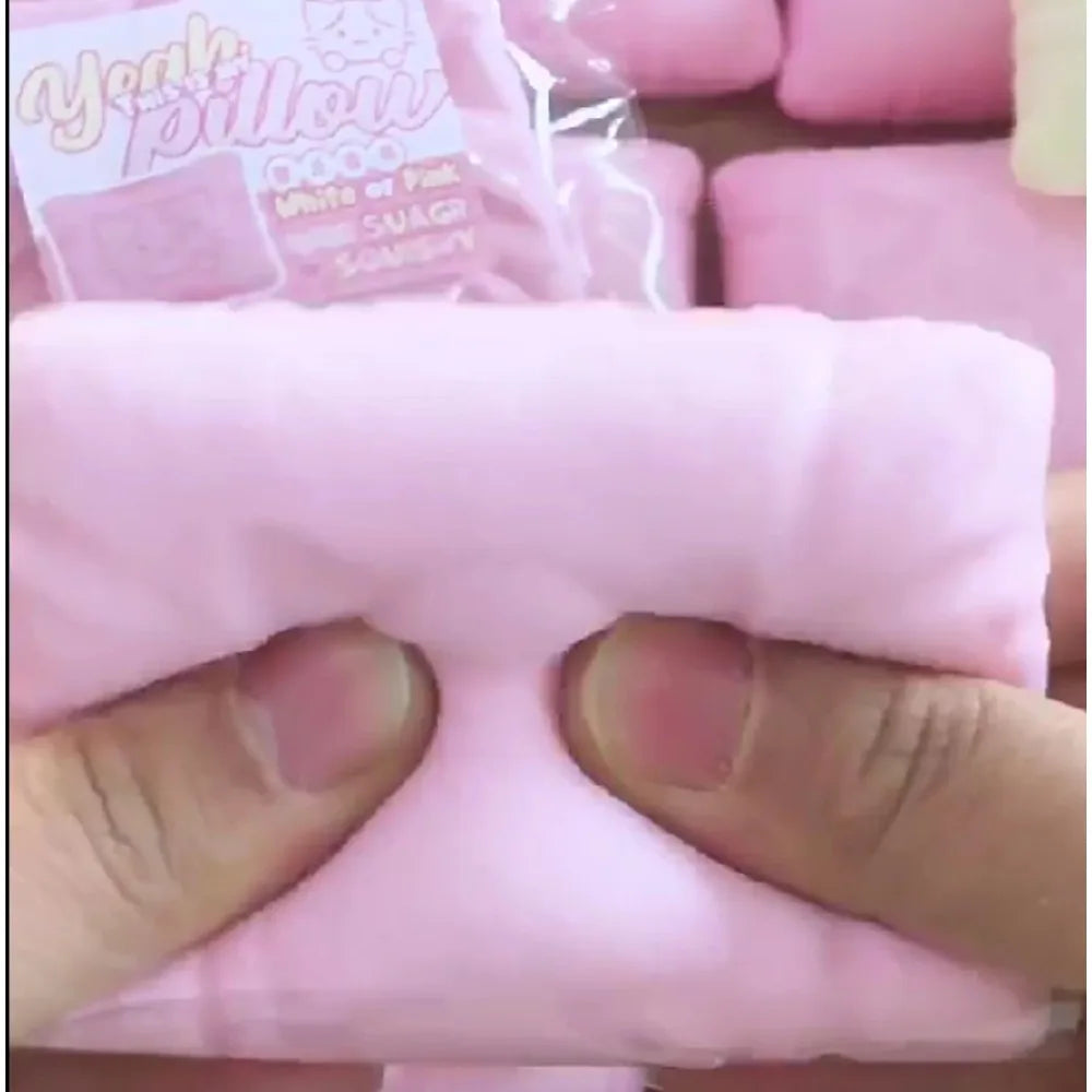 Cat Pillow Fidget